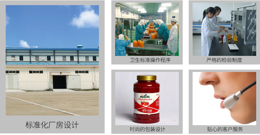 标准化厂房设计、自动化生产设备与销售服务