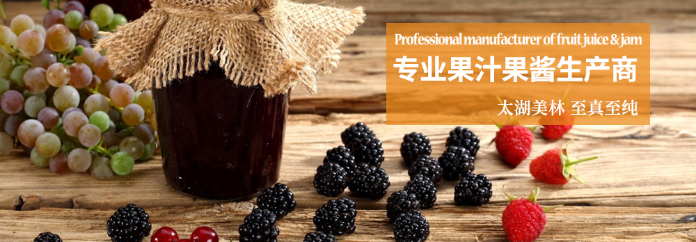 专业果汁果酱生产